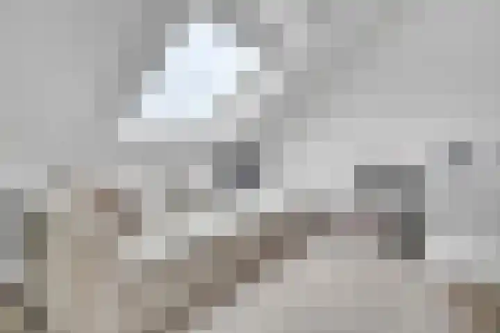 Nieuwe Bleek 17 Haaksbergen thumbnail 40