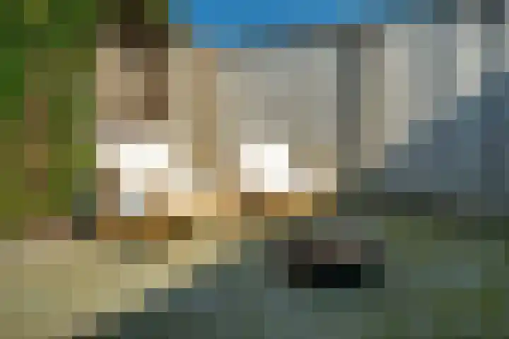 Nieuwe Bleek 17 Haaksbergen thumbnail 42