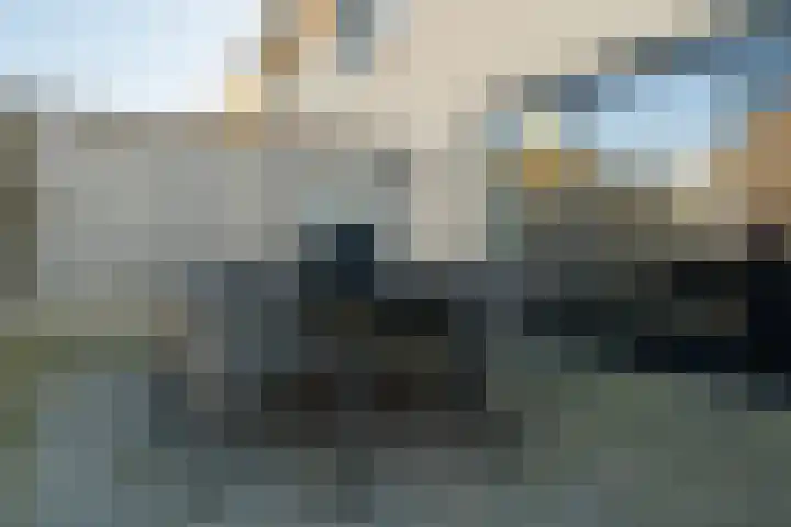 Nieuwe Bleek 17 Haaksbergen thumbnail 44