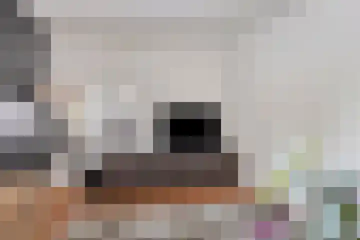 Nieuwe Bleek 25 Haaksbergen thumbnail 15
