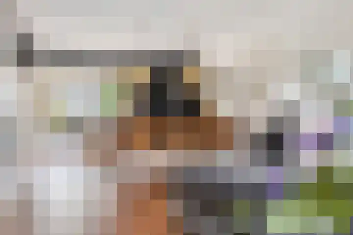 Nieuwe Bleek 25 Haaksbergen thumbnail 17