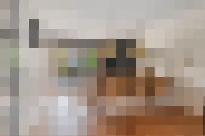 Nieuwe Bleek 25 Haaksbergen thumbnail 18
