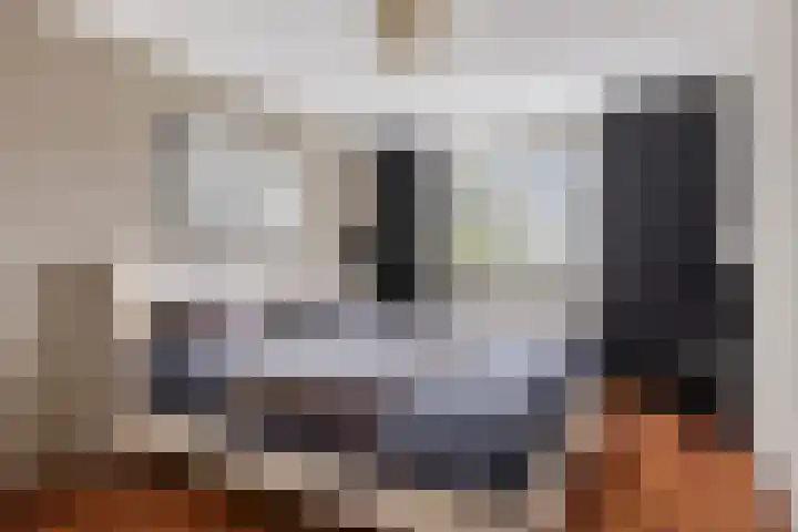 Nieuwe Bleek 25 Haaksbergen thumbnail 27