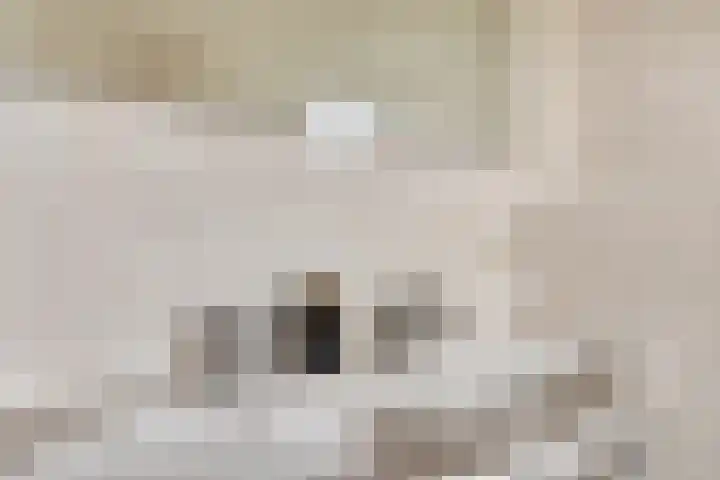 Nieuwe Bleek 25 Haaksbergen thumbnail 30
