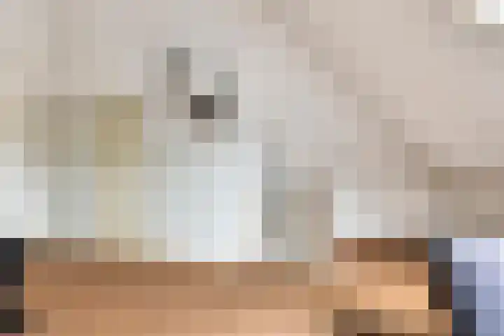 Nieuwe Bleek 25 Haaksbergen thumbnail 36