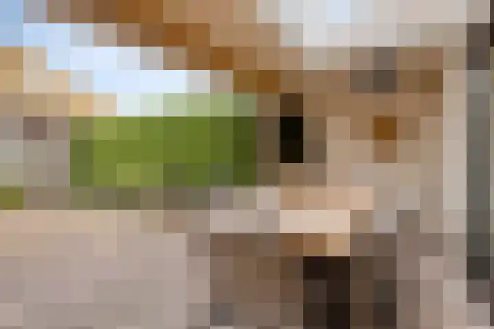 Nieuwe Bleek 25 Haaksbergen thumbnail 39