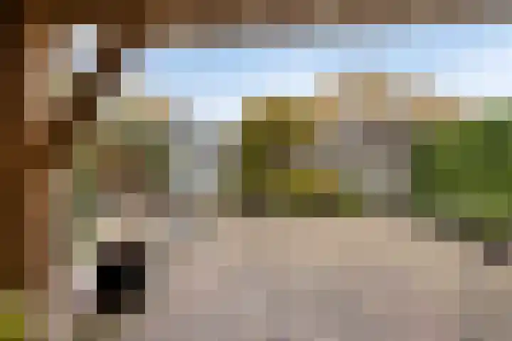 Nieuwe Bleek 25 Haaksbergen thumbnail 40