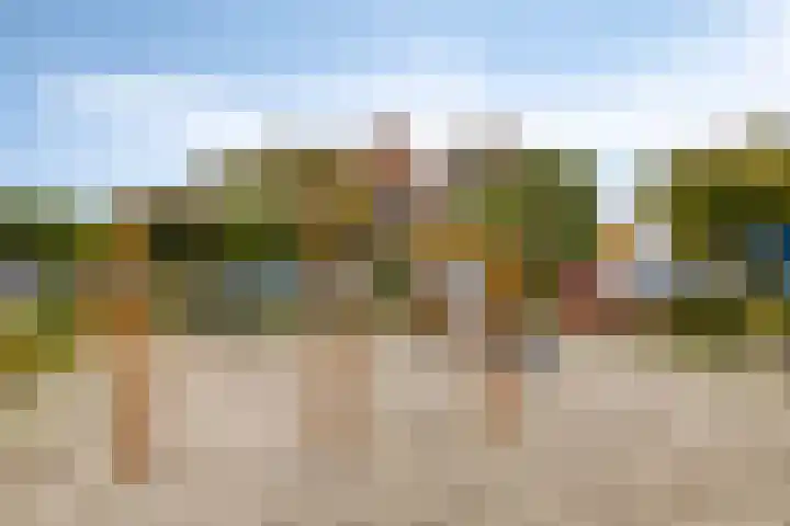 Nieuwe Bleek 25 Haaksbergen thumbnail 44