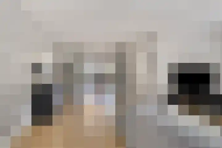 Nieuwe Bleek 3 Haaksbergen thumbnail 12