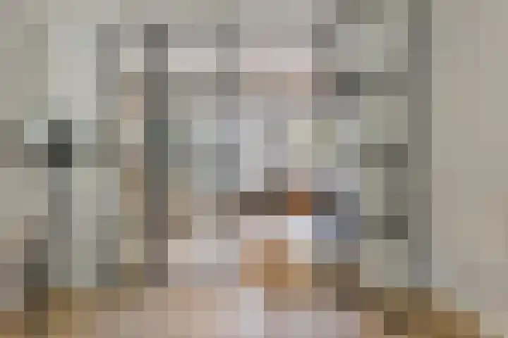 Nieuwe Bleek 3 Haaksbergen thumbnail 13