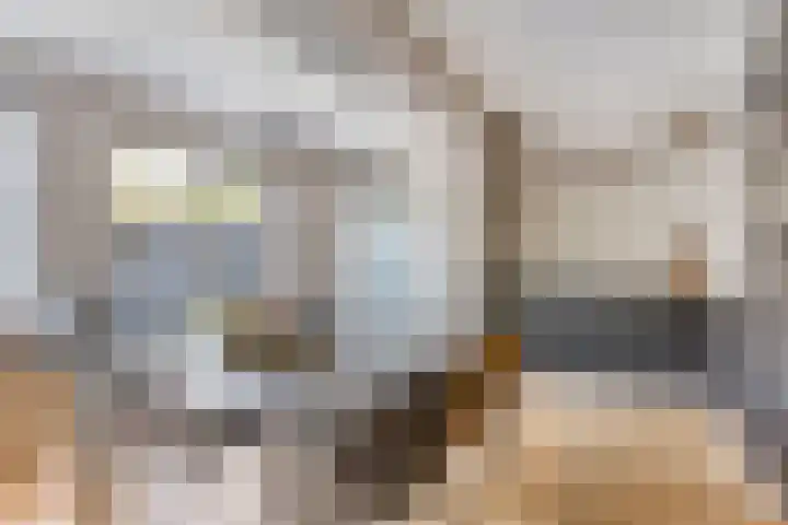 Nieuwe Bleek 3 Haaksbergen thumbnail 15