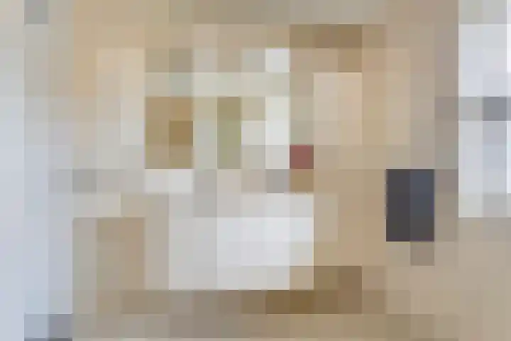 Nieuwe Bleek 3 Haaksbergen thumbnail 30