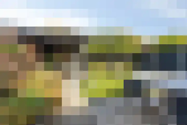 Nieuwe Bleek 3 Haaksbergen thumbnail 38
