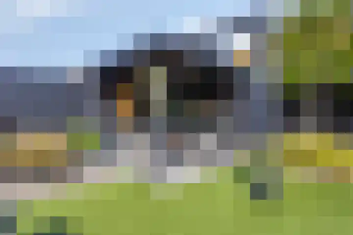 Nieuwe Bleek 3 Haaksbergen thumbnail 39
