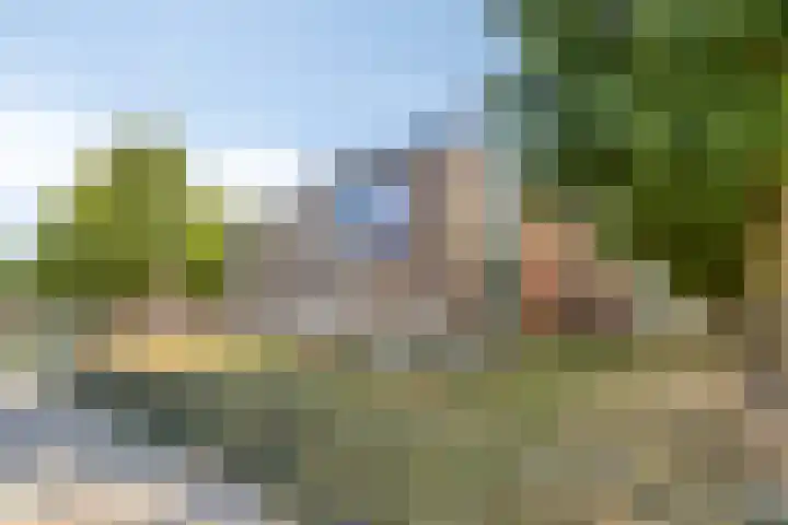 Nieuwe Bleek 3 Haaksbergen thumbnail 45