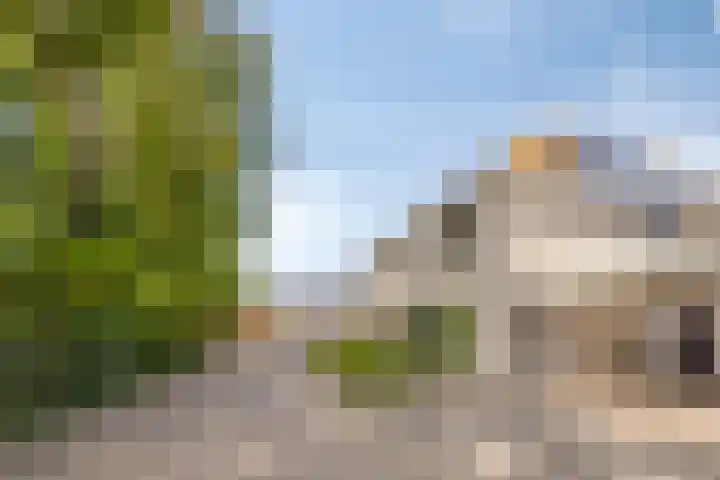 Nieuwe Bleek 3 Haaksbergen thumbnail 5