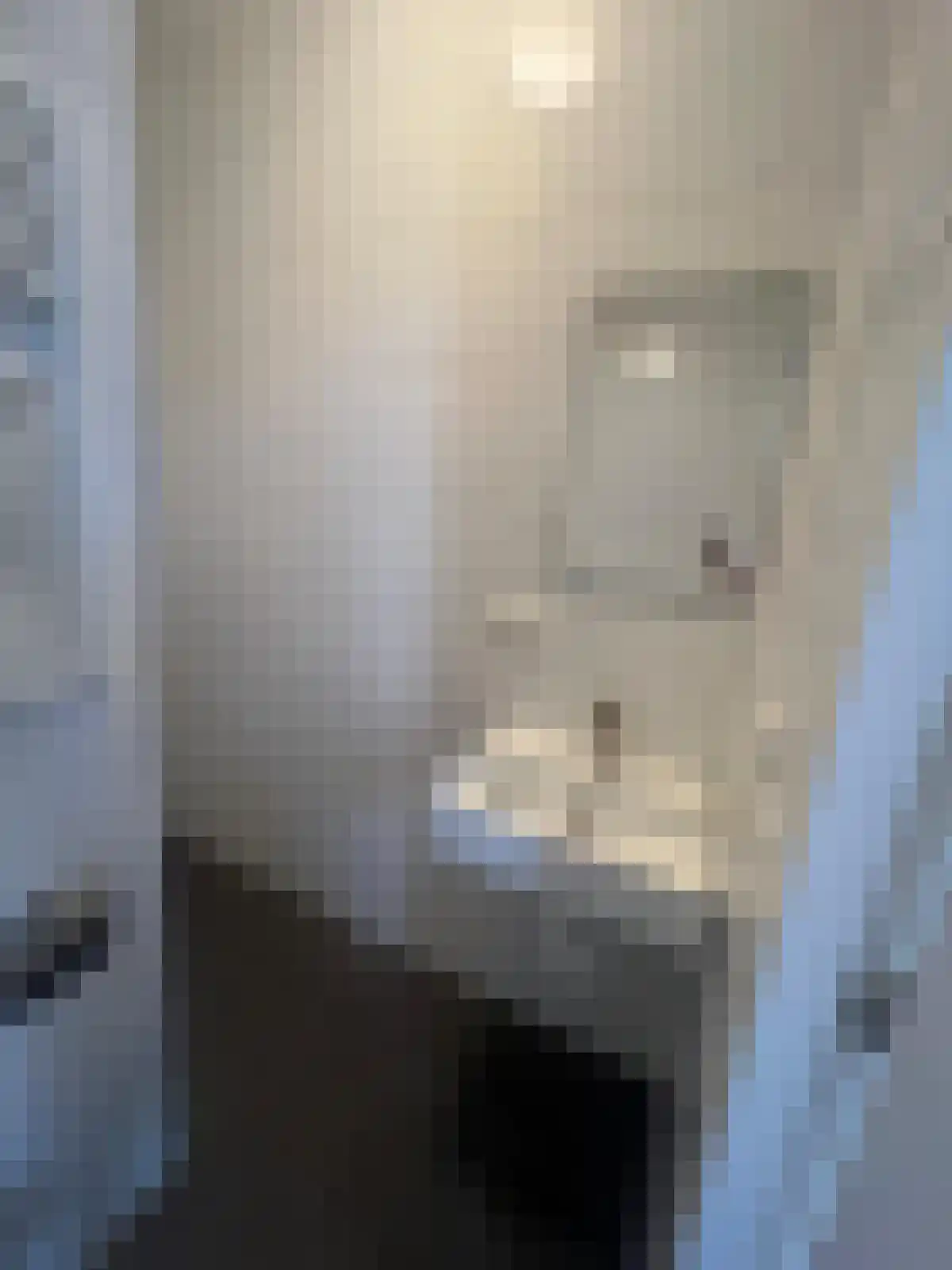 Nieuwe Blekerstraat 1 Groningen thumbnail 5