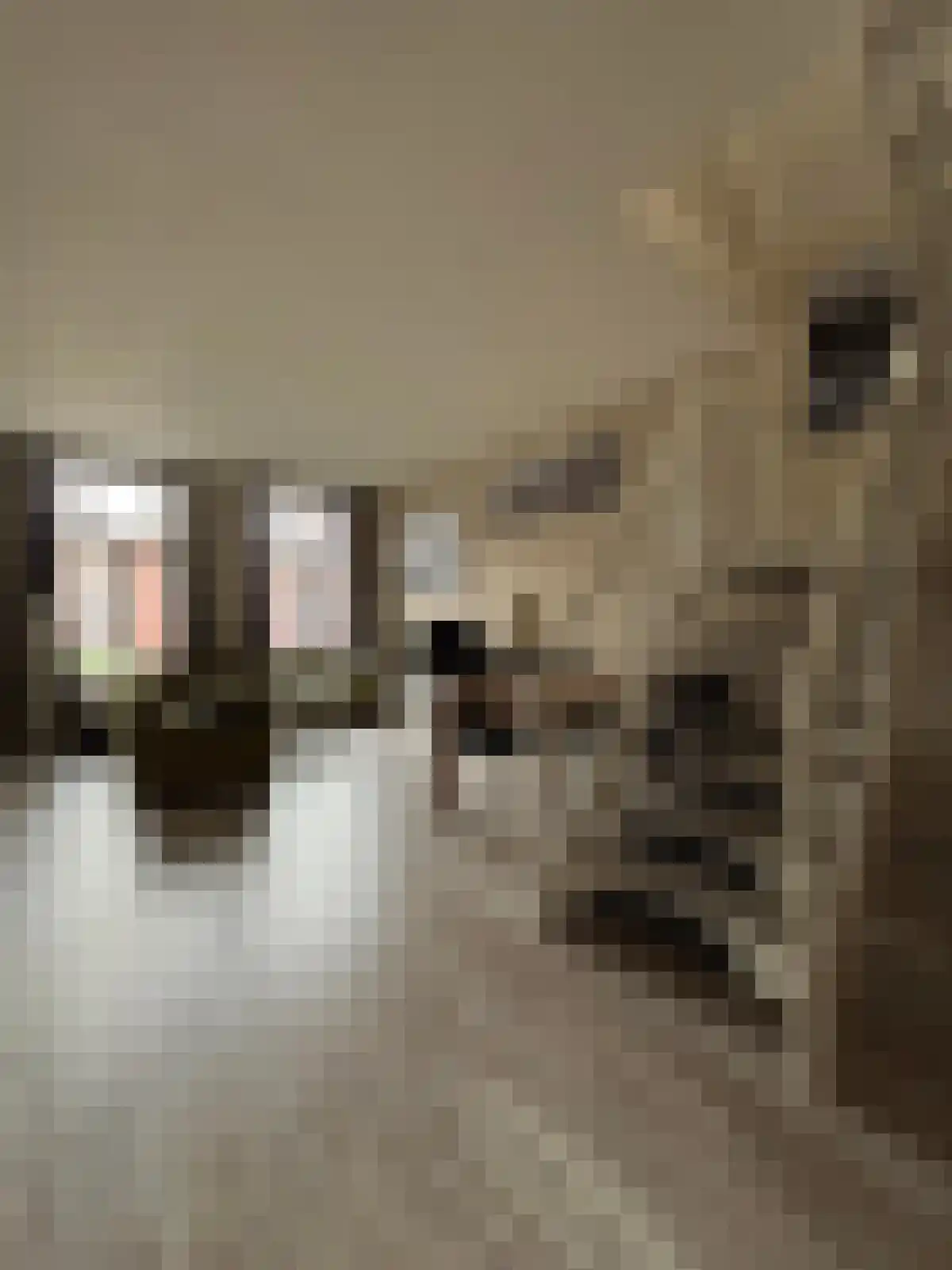 Nieuwe Blekerstraat 10 Groningen thumbnail 6