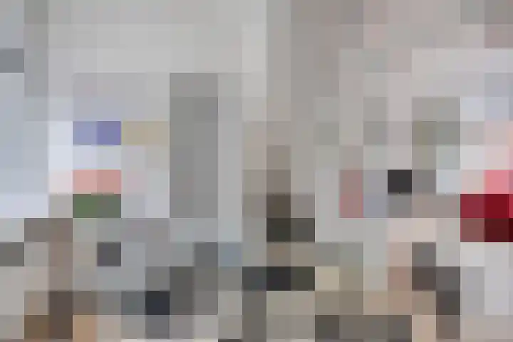 Nieuwe Blekerstraat 105 Groningen thumbnail 10