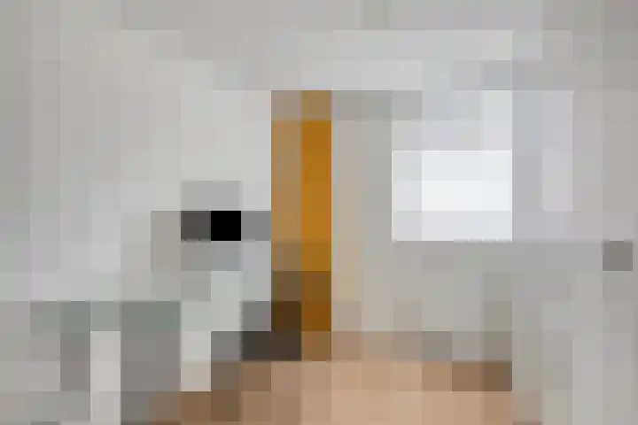Nieuwe Blekerstraat 105 Groningen thumbnail 18