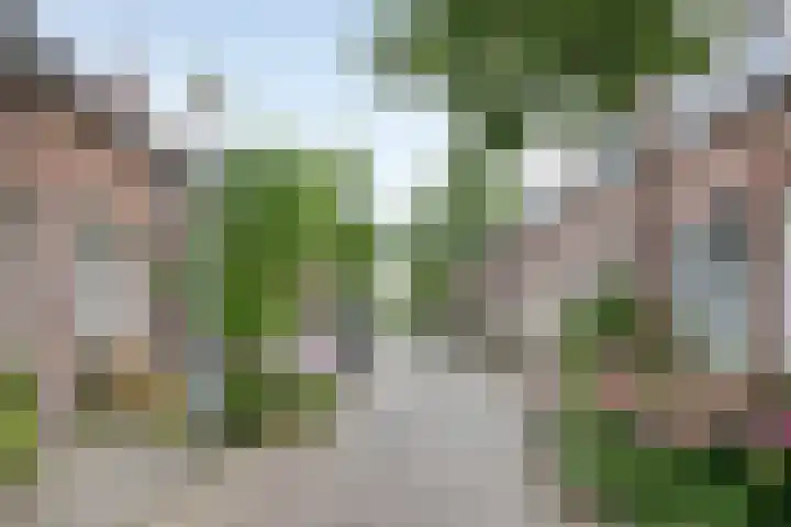 Nieuwe Blekerstraat 105 Groningen thumbnail 24