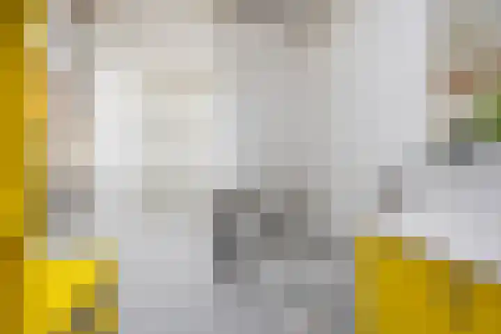 Nieuwe Blekerstraat 110 Groningen thumbnail 20