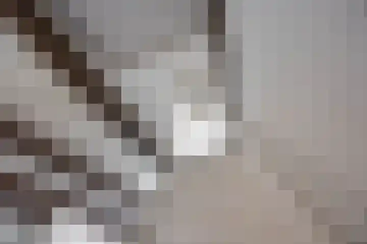 Nieuwe Blekerstraat 110 Groningen thumbnail 21