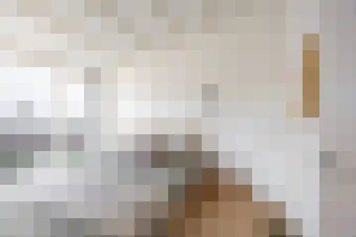 Nieuwe Blekerstraat 110 Groningen thumbnail 22