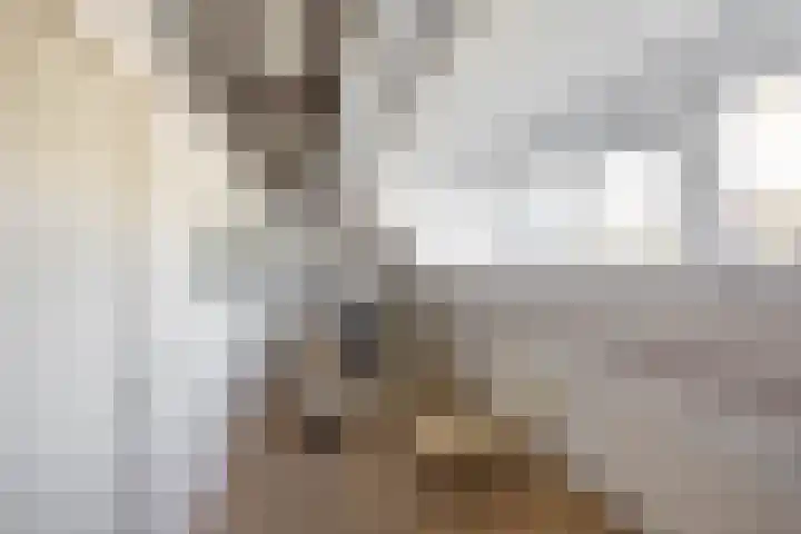 Nieuwe Blekerstraat 110 Groningen thumbnail 28