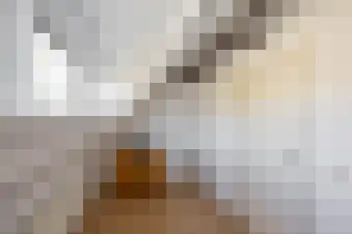 Nieuwe Blekerstraat 110 Groningen thumbnail 29