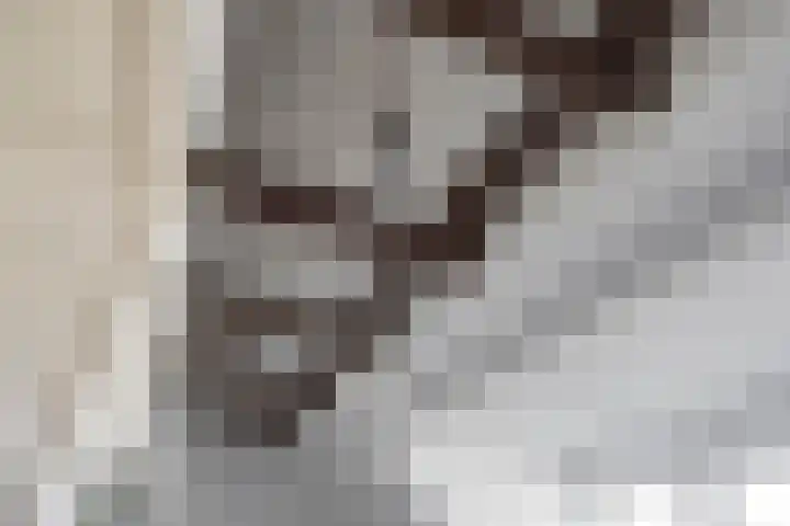 Nieuwe Blekerstraat 110 Groningen thumbnail 30