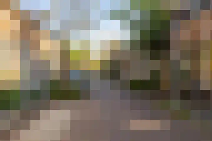 Nieuwe Blekerstraat 110 Groningen thumbnail 32