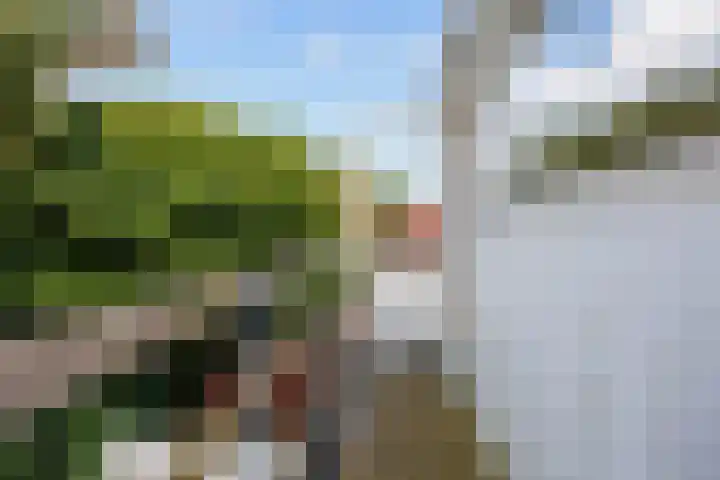 Nieuwe Blekerstraat 117 Groningen thumbnail 37
