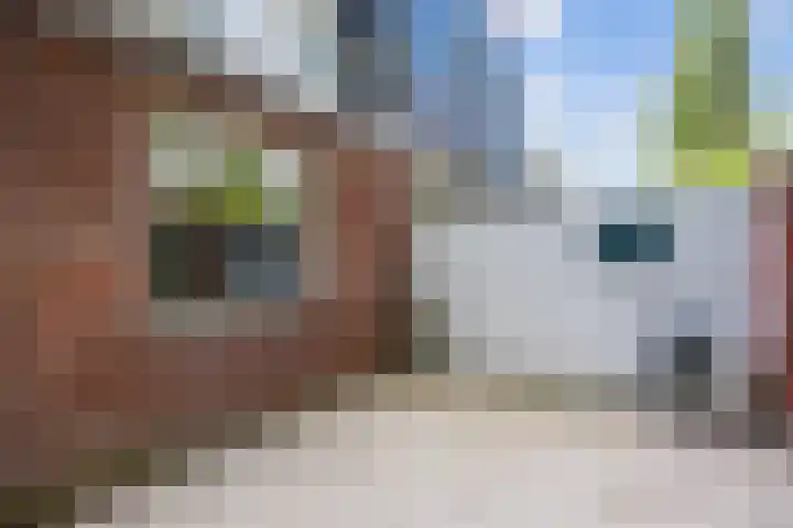 Nieuwe Blekerstraat 117 Groningen thumbnail 47