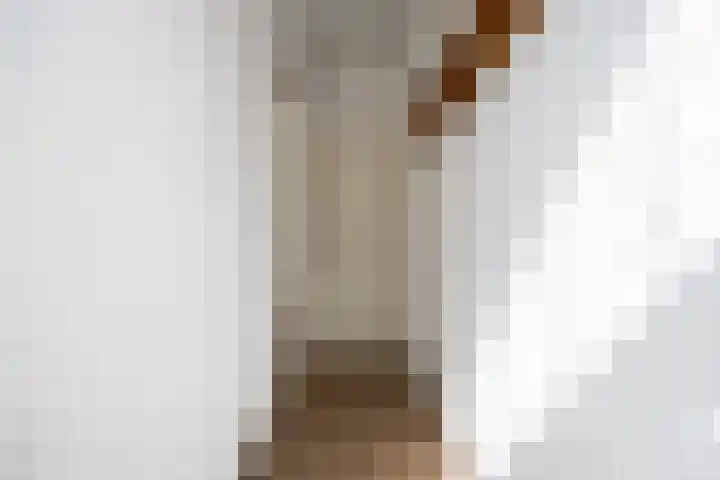 Nieuwe Blekerstraat 117 Groningen thumbnail 9