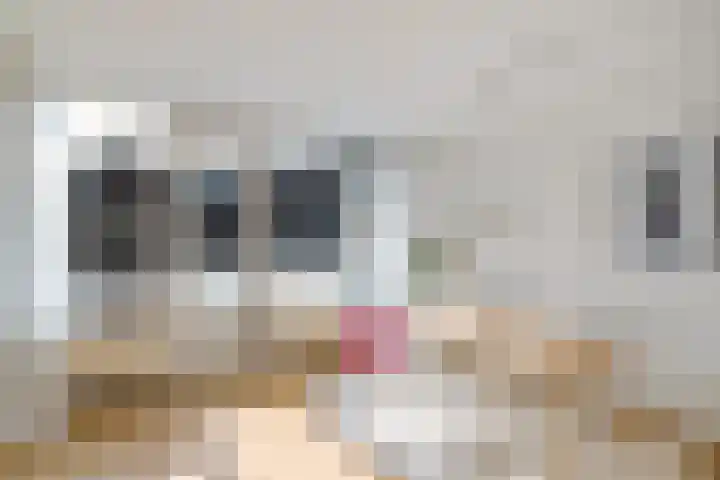 Nieuwe Blekerstraat 12 e Groningen thumbnail 14