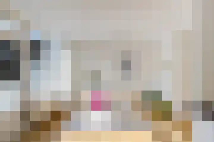 Nieuwe Blekerstraat 12 e Groningen thumbnail 15