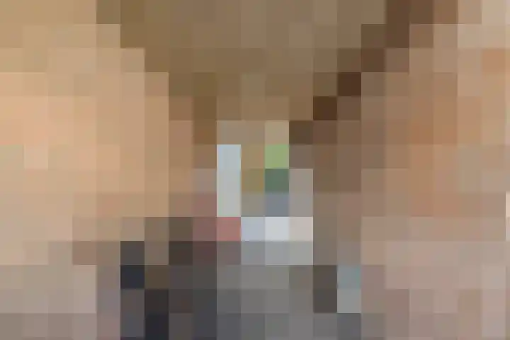 Nieuwe Blekerstraat 12 e Groningen thumbnail 22