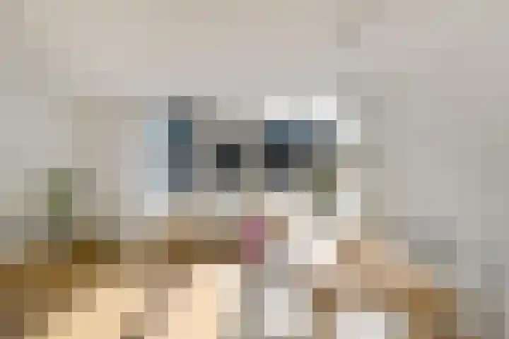 Nieuwe Blekerstraat 12 e Groningen thumbnail 9