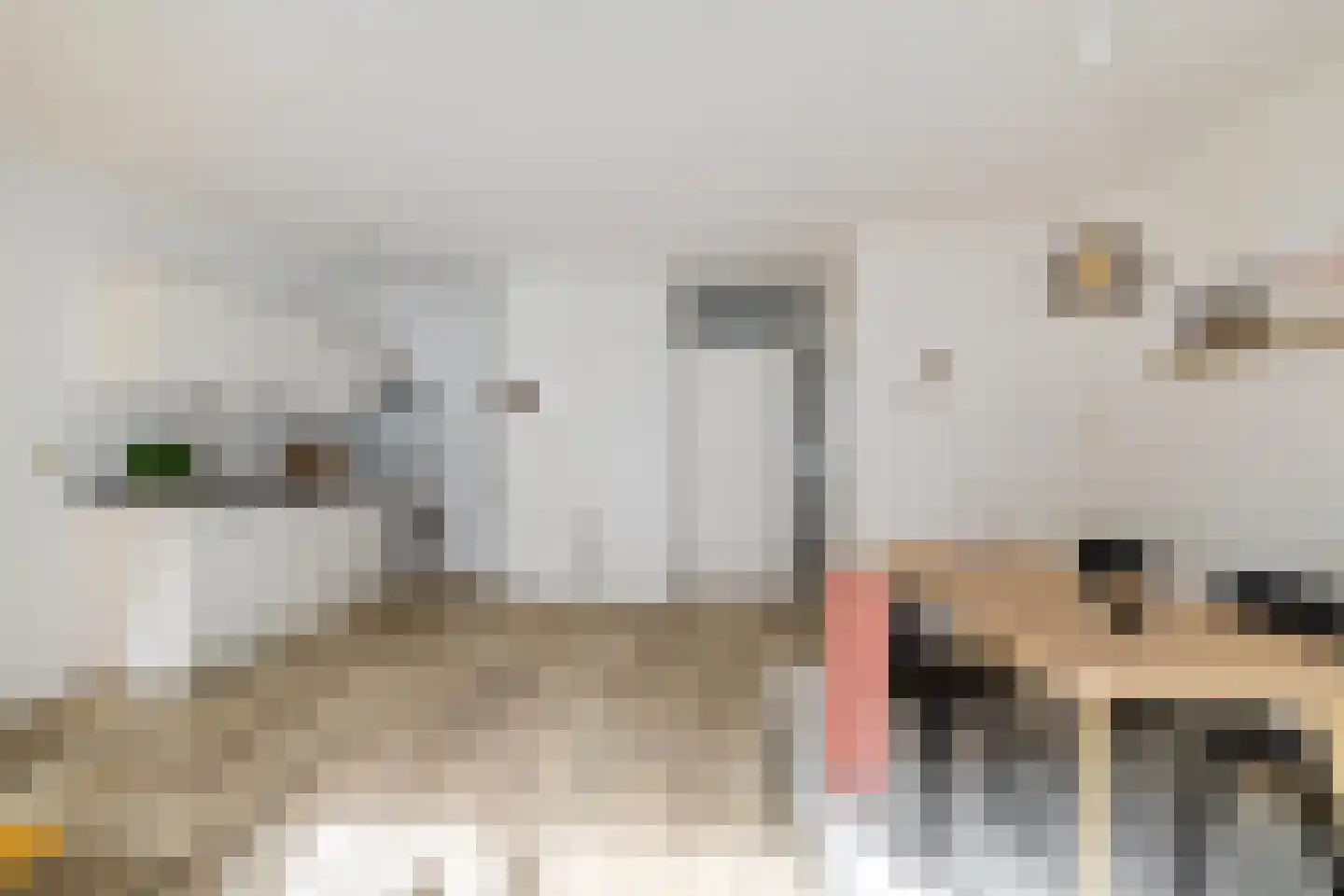 Nieuwe Blekerstraat 12 Groningen thumbnail 10