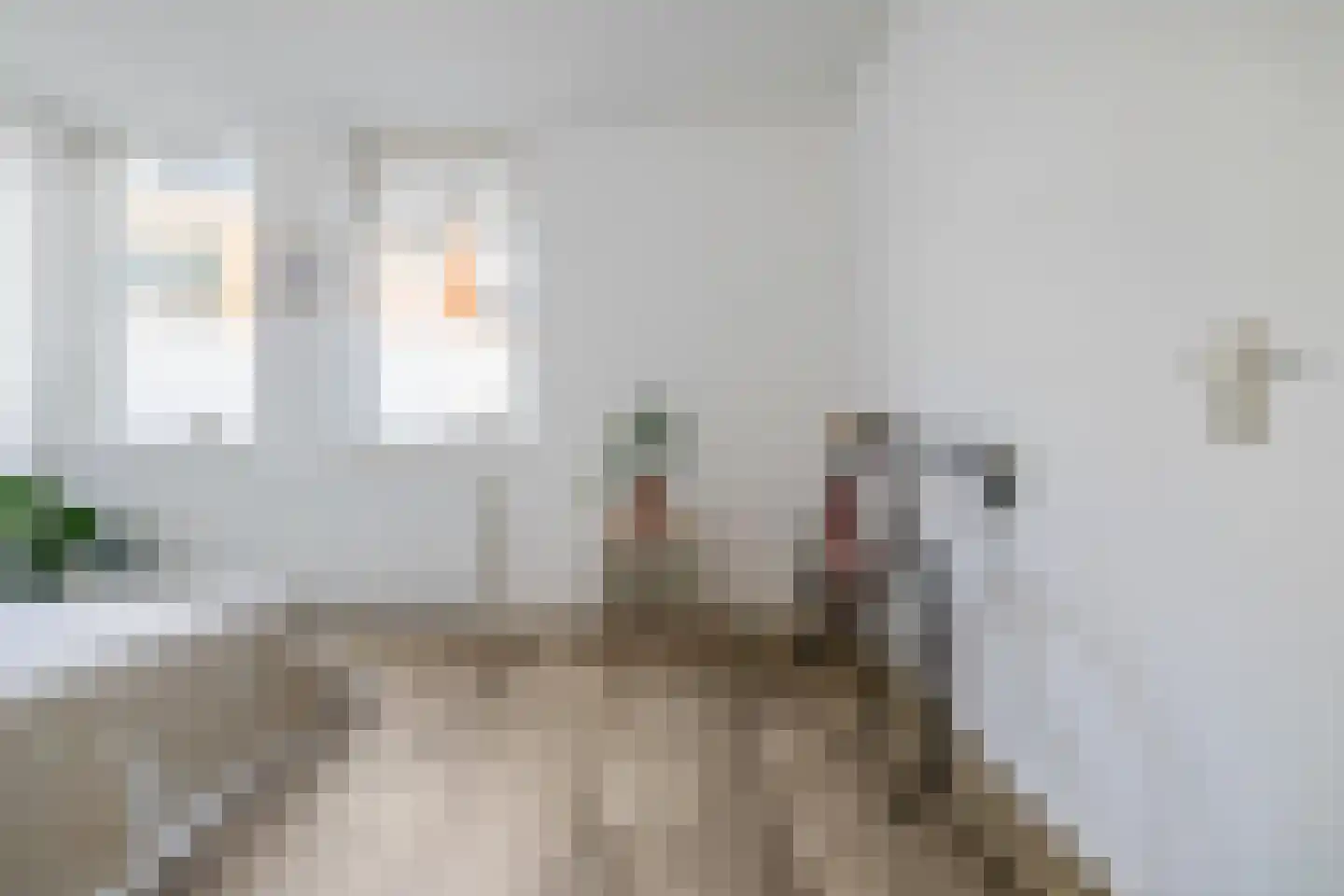 Nieuwe Blekerstraat 12 Groningen thumbnail 20