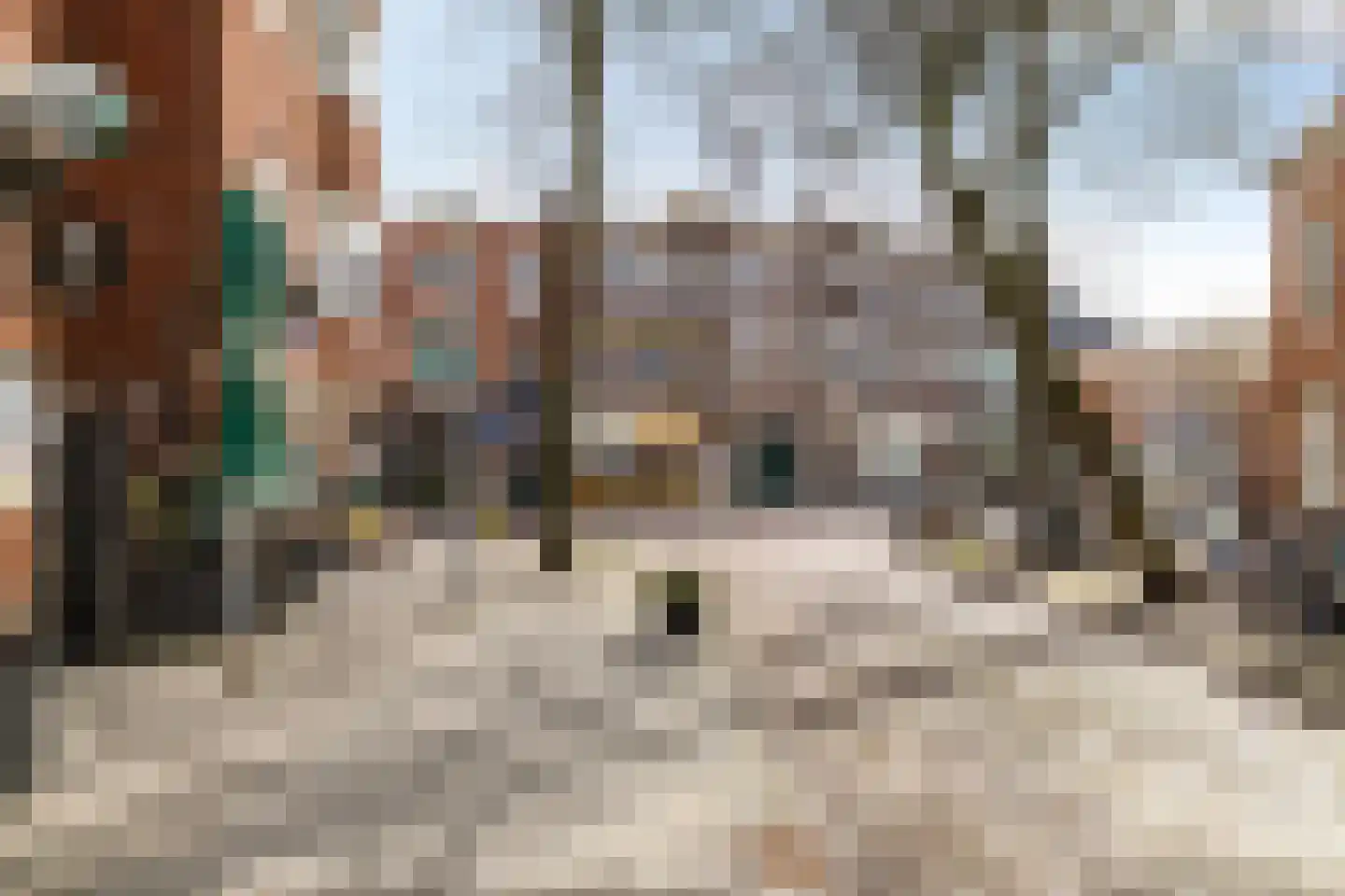 Nieuwe Blekerstraat 12 Groningen thumbnail 28