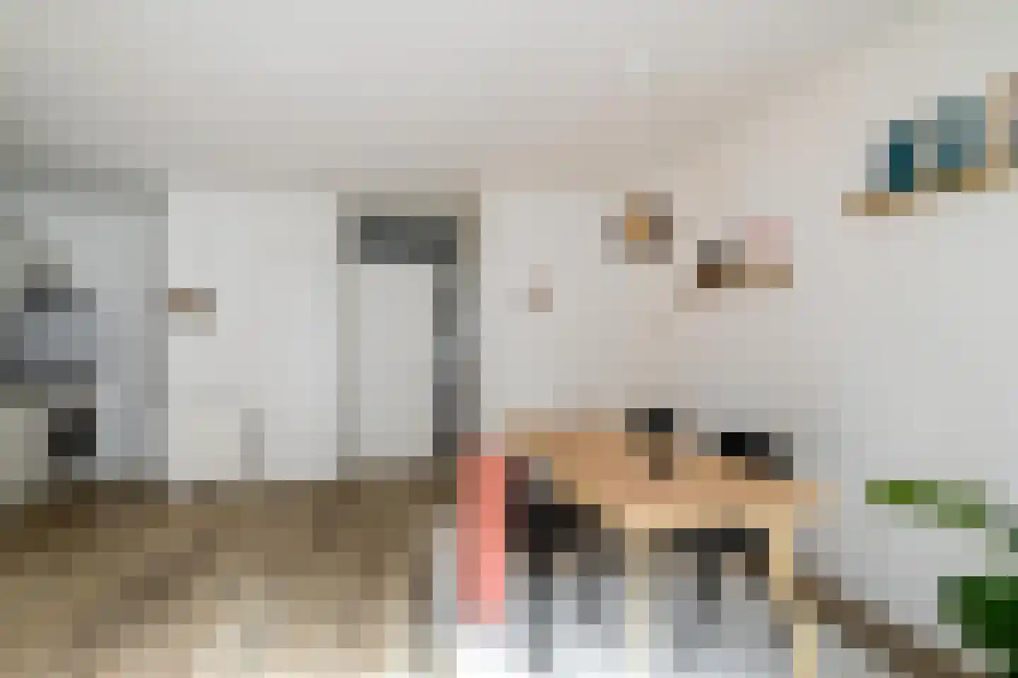 Nieuwe Blekerstraat 12 Groningen thumbnail 9