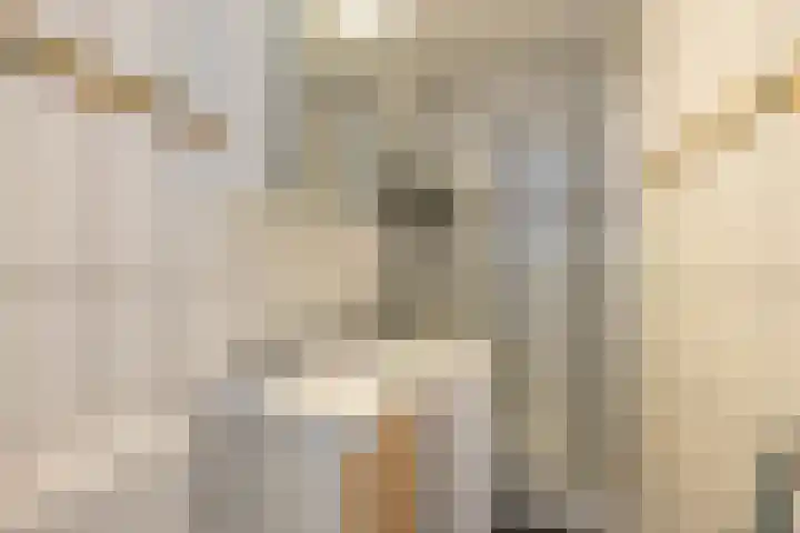 Nieuwe Blekerstraat 14 d Groningen thumbnail 27