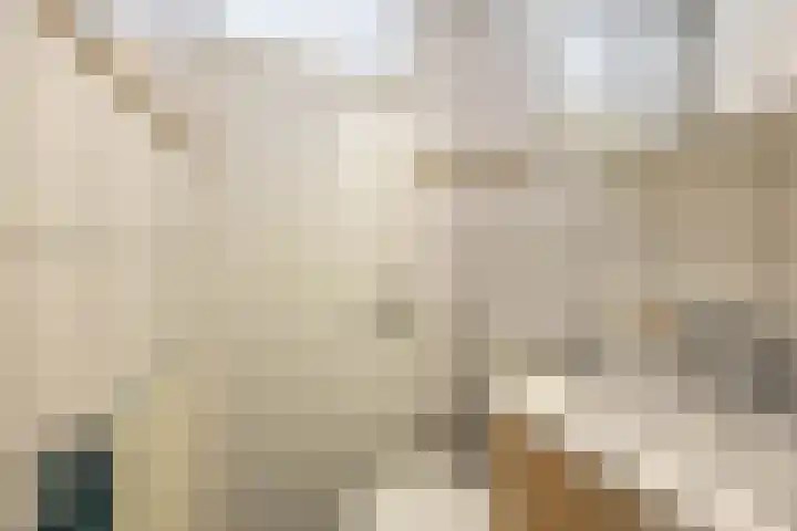 Nieuwe Blekerstraat 14 d Groningen thumbnail 28