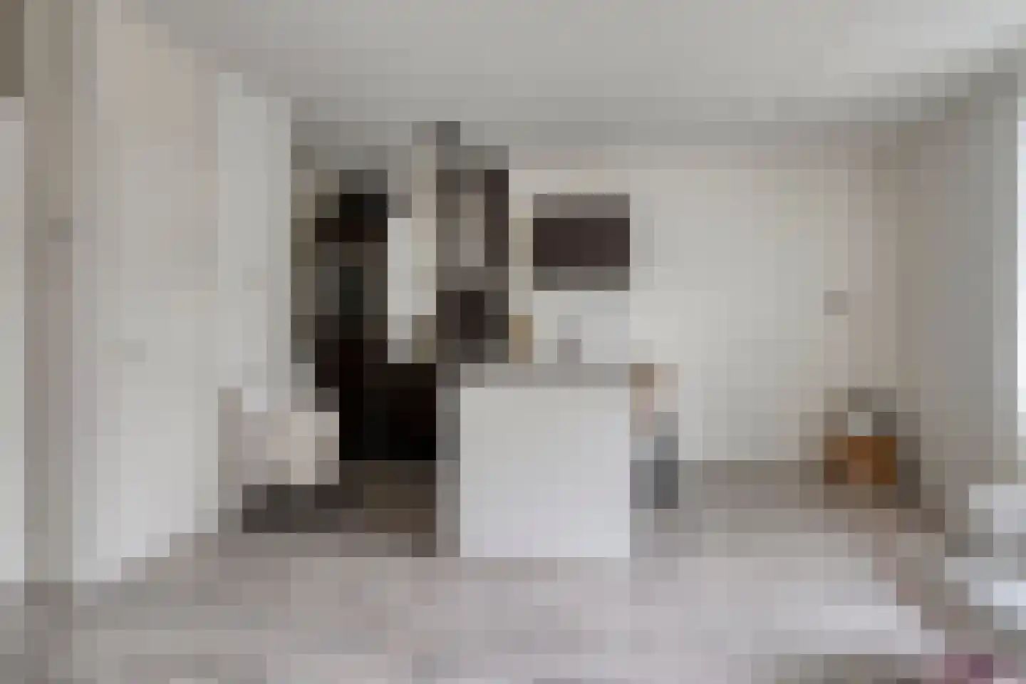 Nieuwe Blekerstraat 14 e Groningen thumbnail 9