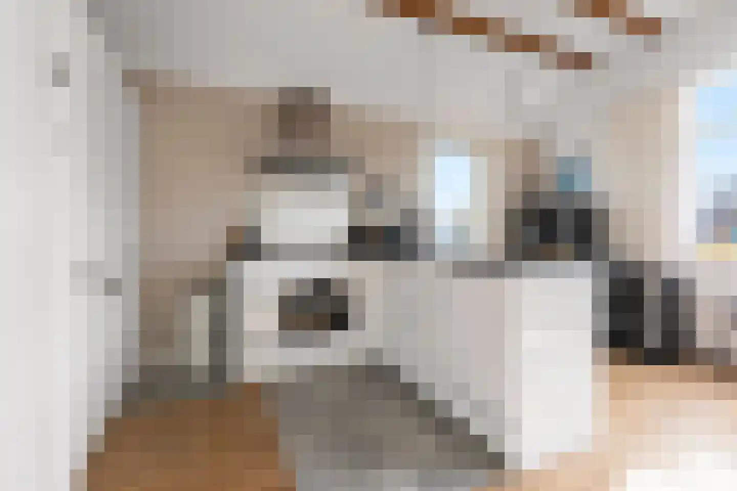 Nieuwe Blekerstraat 14 g Groningen thumbnail 16