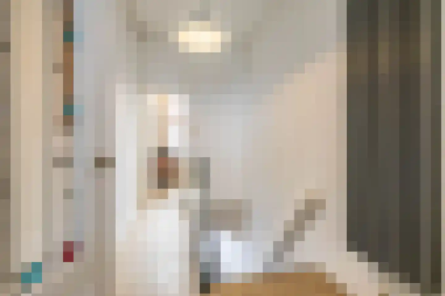 Nieuwe Blekerstraat 17 Groningen thumbnail 31