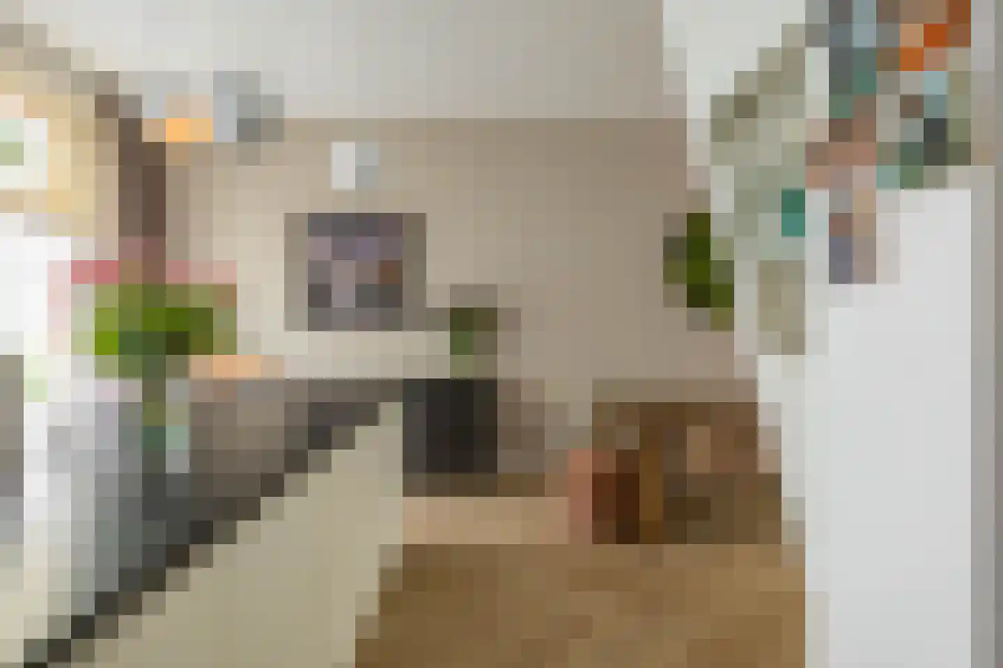 Nieuwe Blekerstraat 17 Groningen thumbnail 32