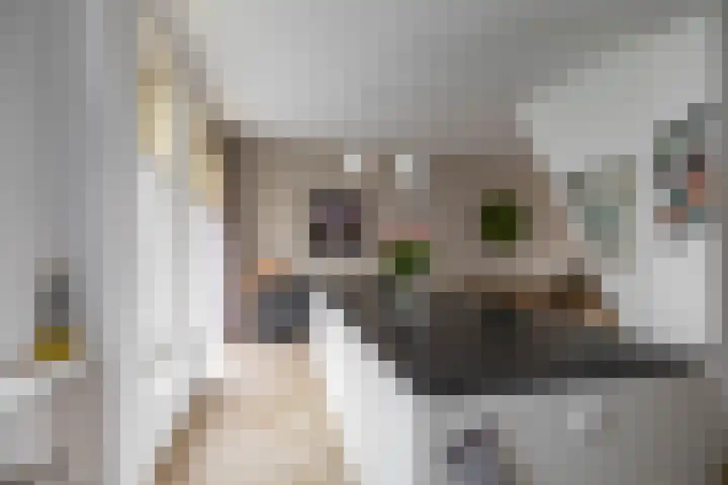 Nieuwe Blekerstraat 17 Groningen thumbnail 34